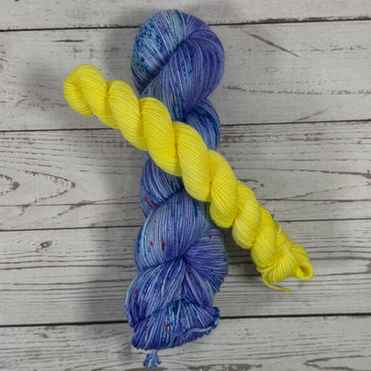Lady Scoundrels sock set/ Dyed to Order